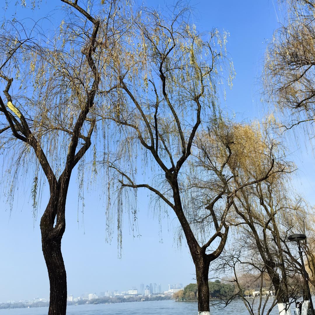 湖南单招教育-张老师