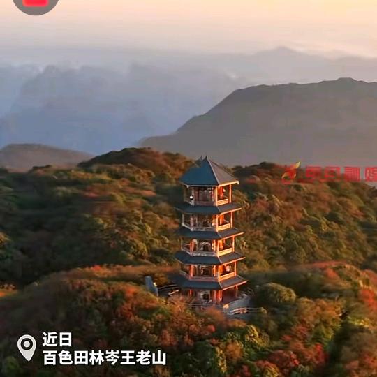 鱼香肉丝里没有鱼