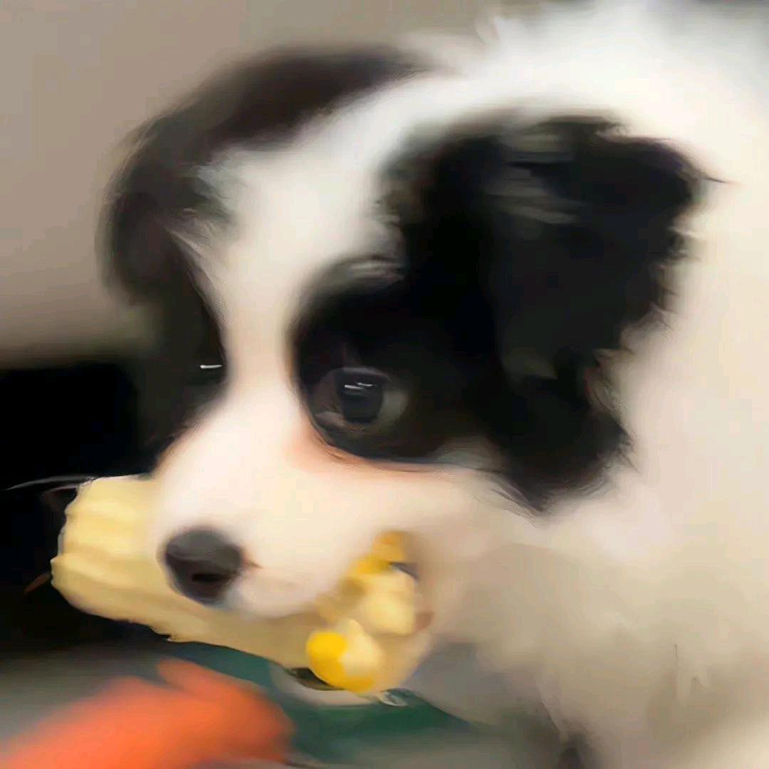 啊哈奶糖