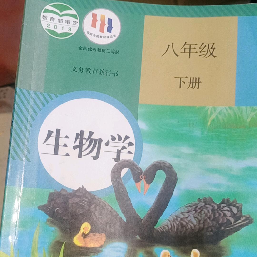 小酒酒