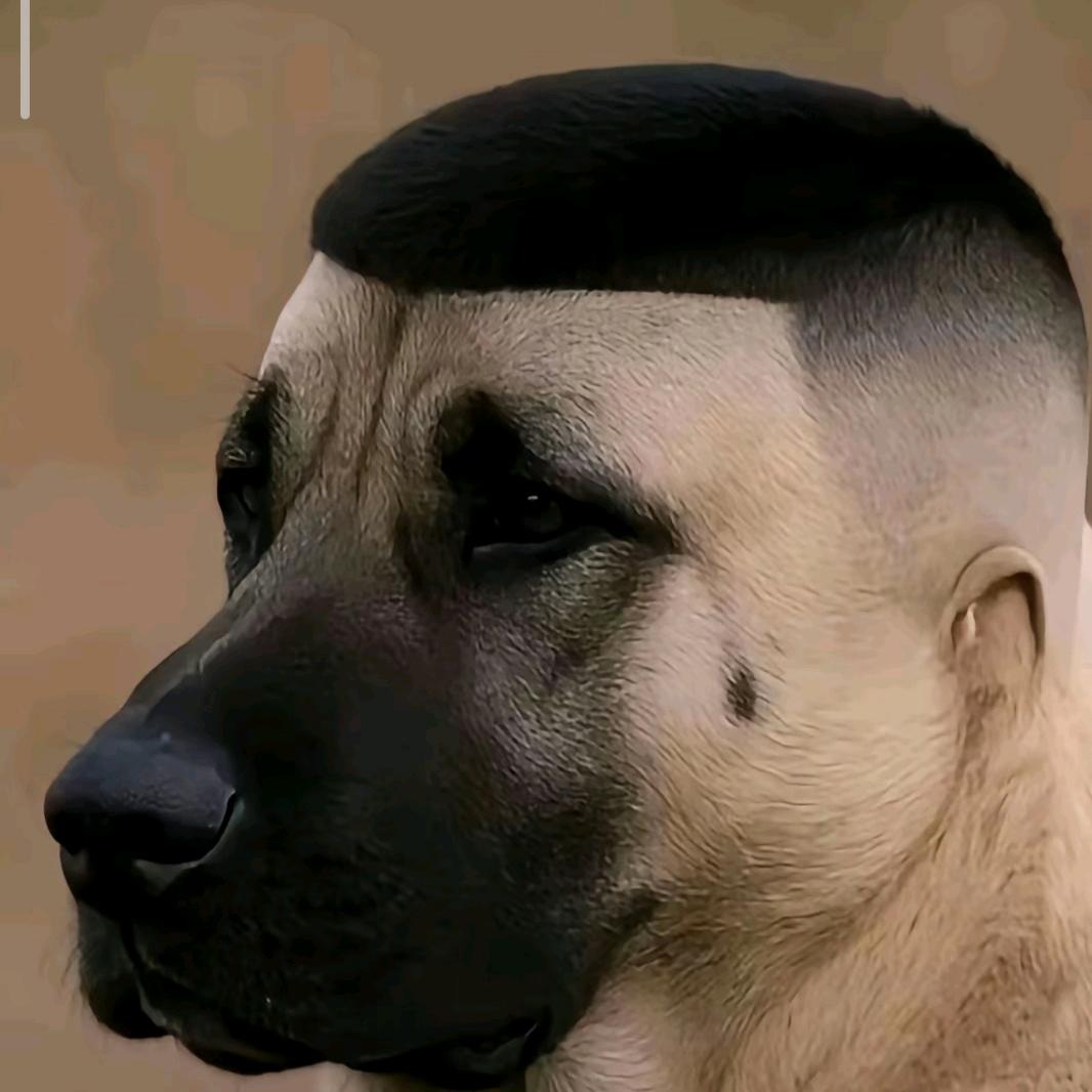柒