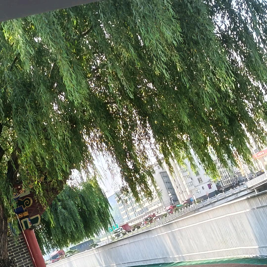 柳🌿旭🌿☀️