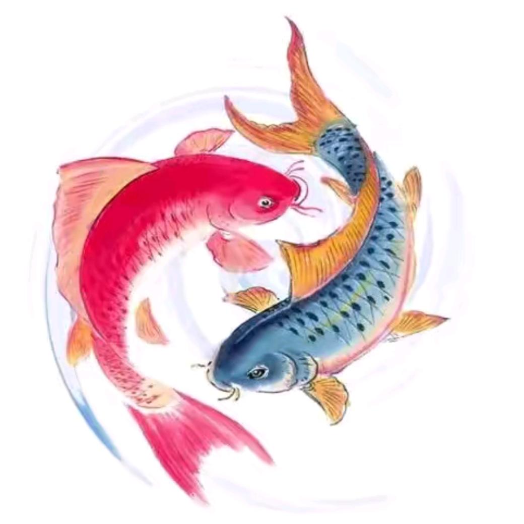 道一先生