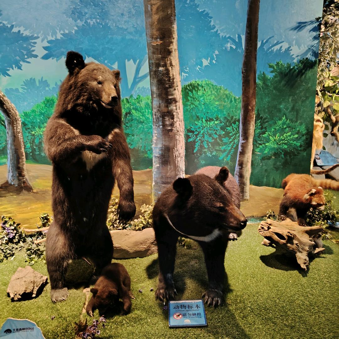 没人要滴小可爱