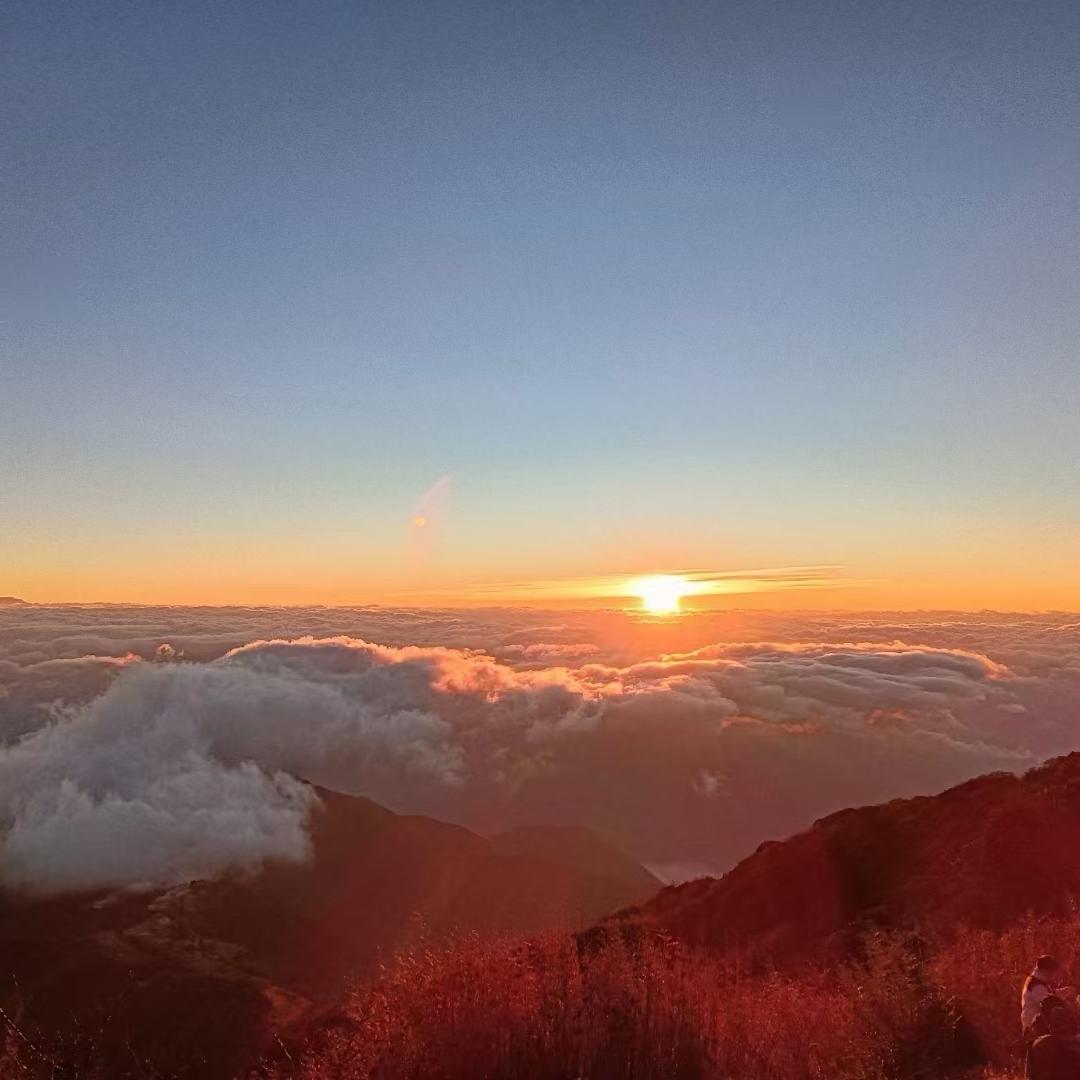 依依泉水(白歌在线)