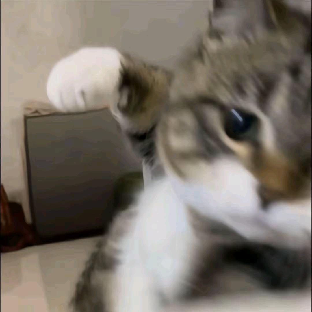 阿江不是师兄