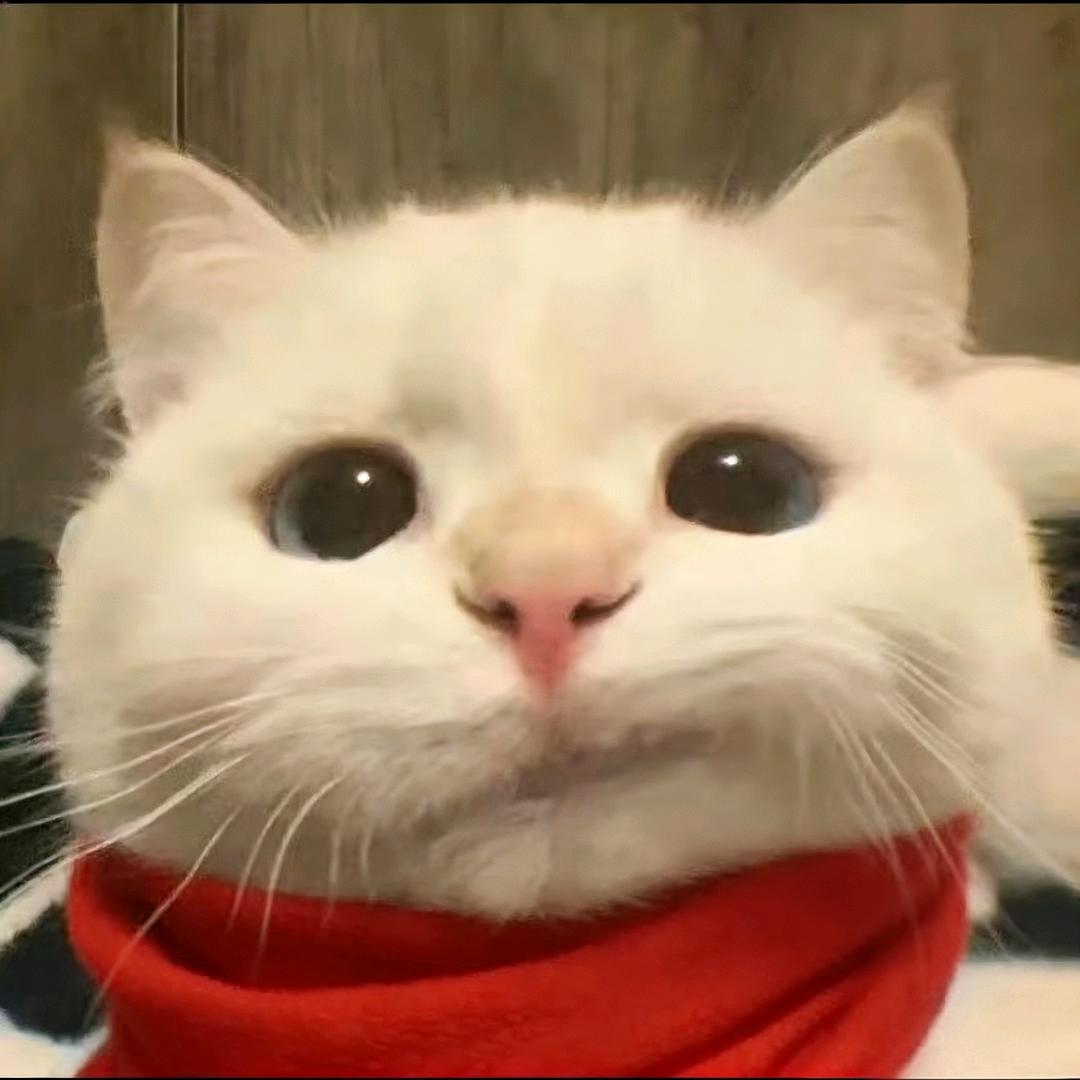 待会见
