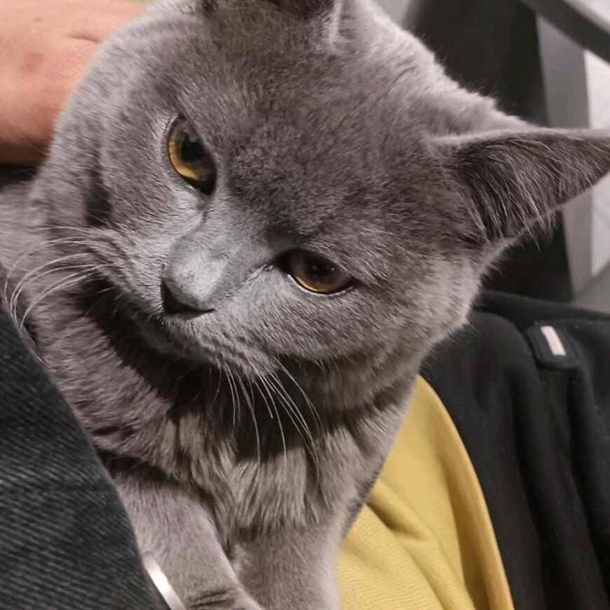 小韩一米八🕸️