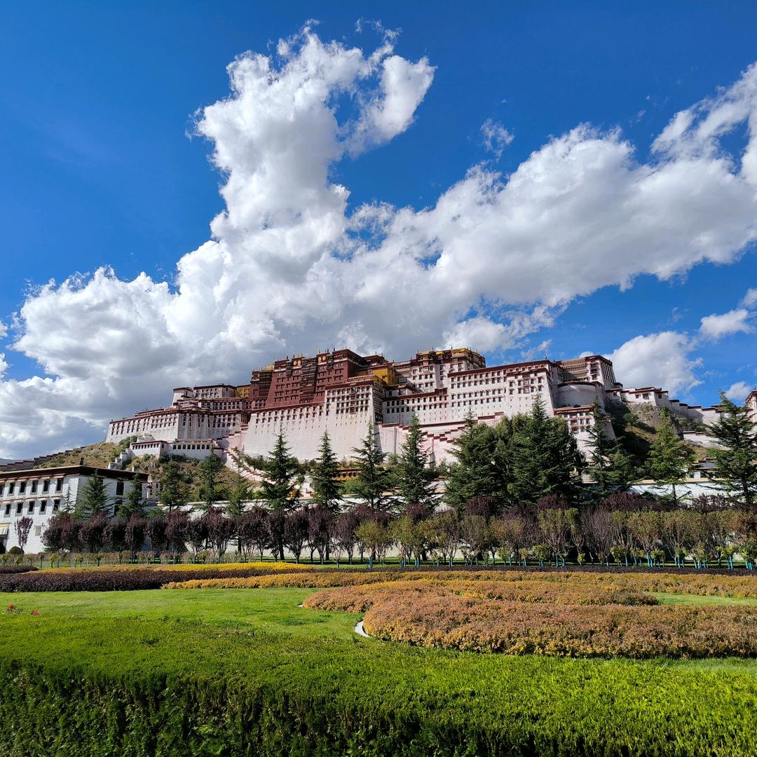 炽阳教育单招备考