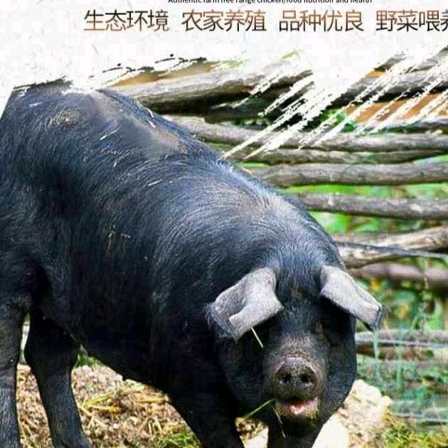 溪原寨生鲜店（企业号）