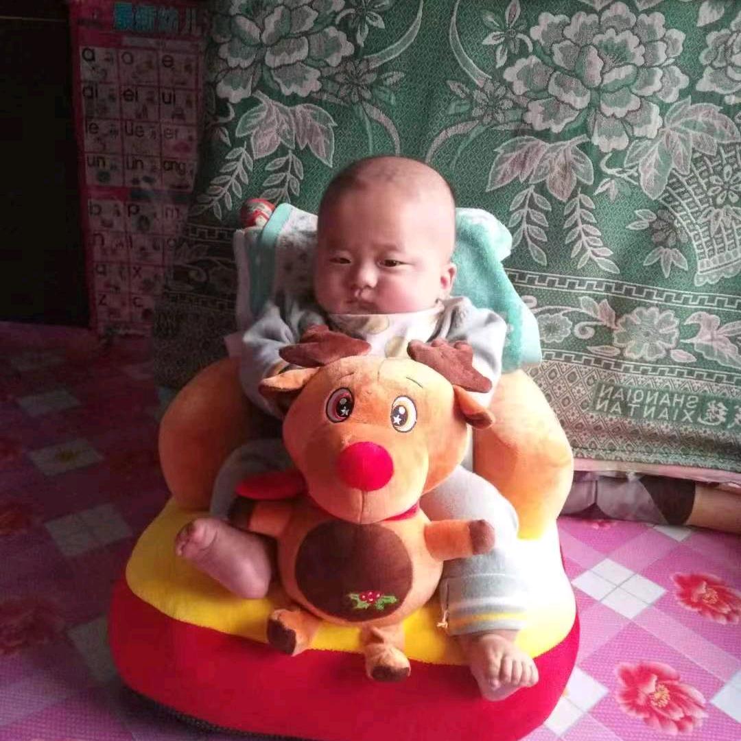 是果宝吖