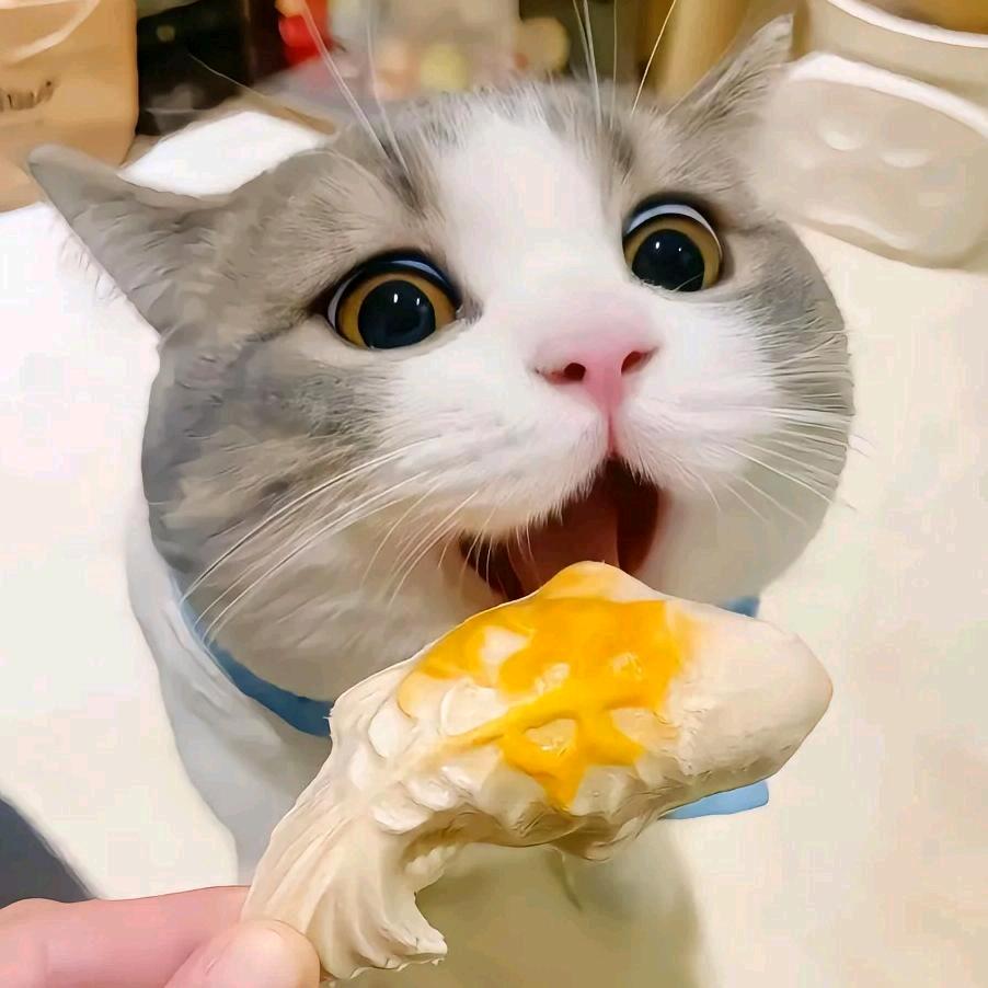 来源于
