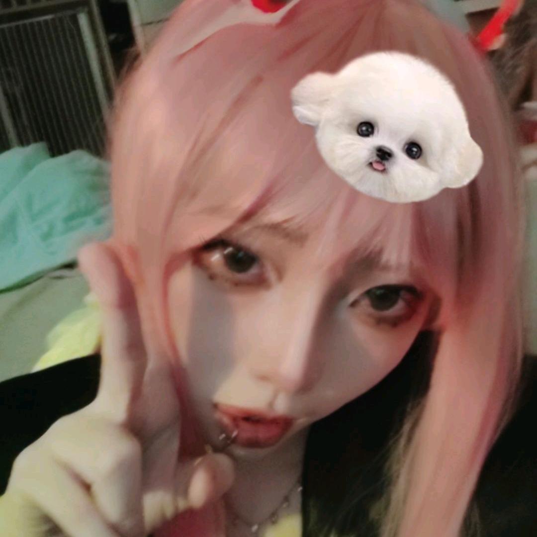 白术 蛋崽分身1号