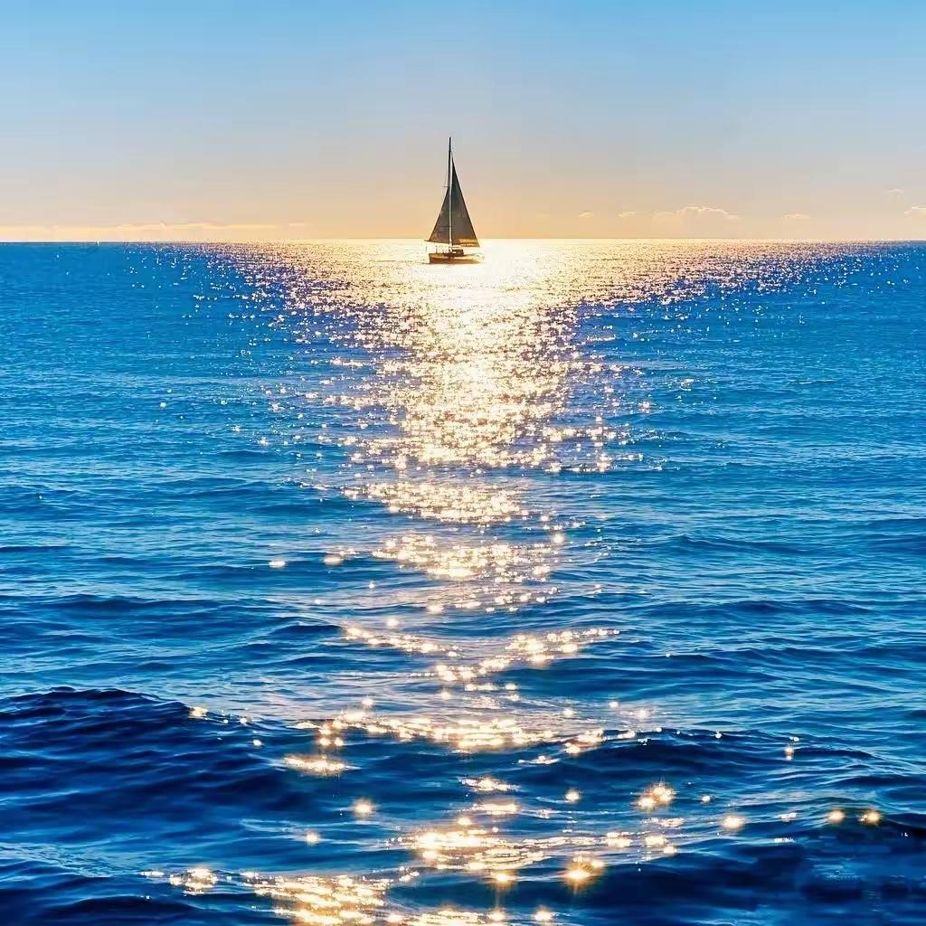 自行、自醒、自清欢