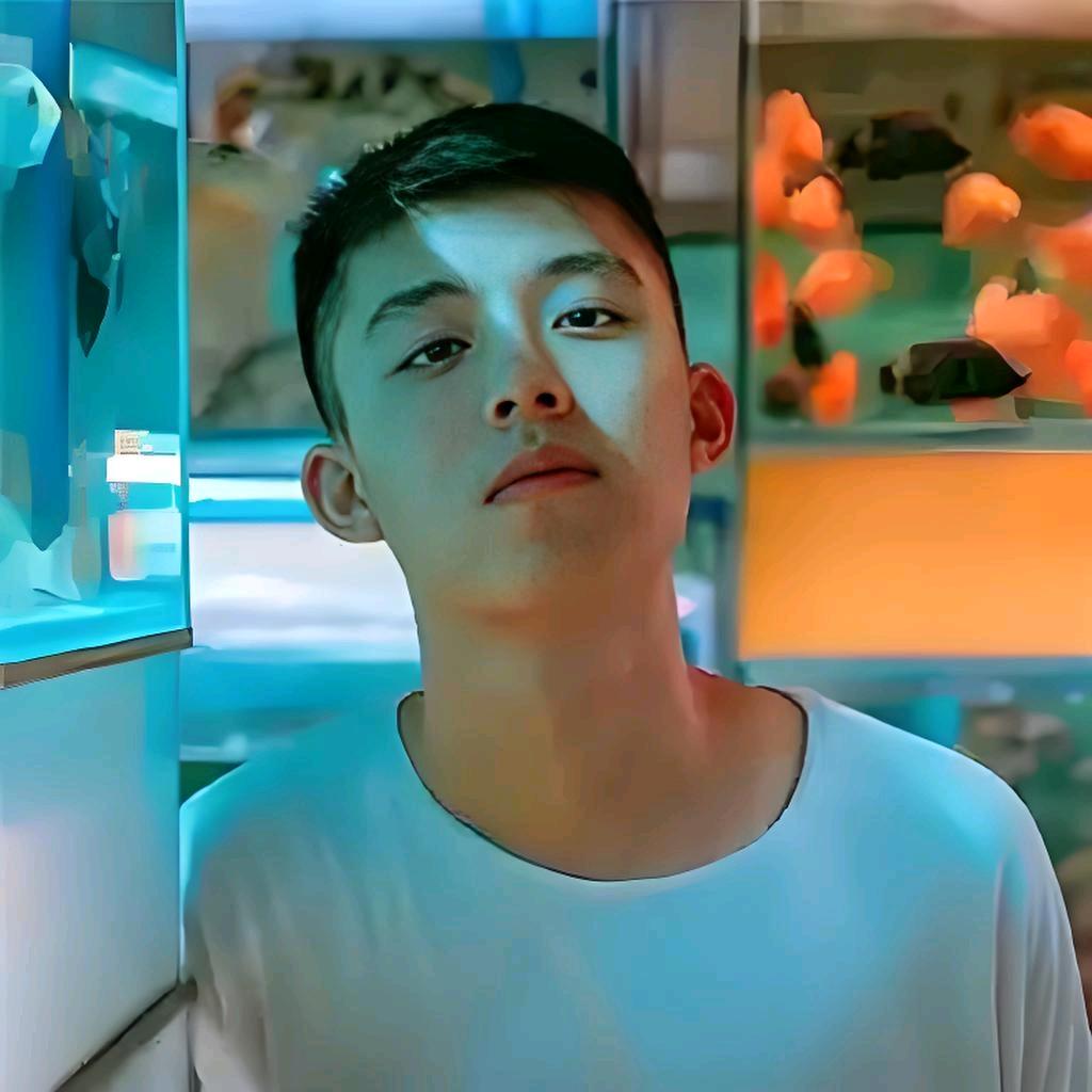 奋斗的小博士