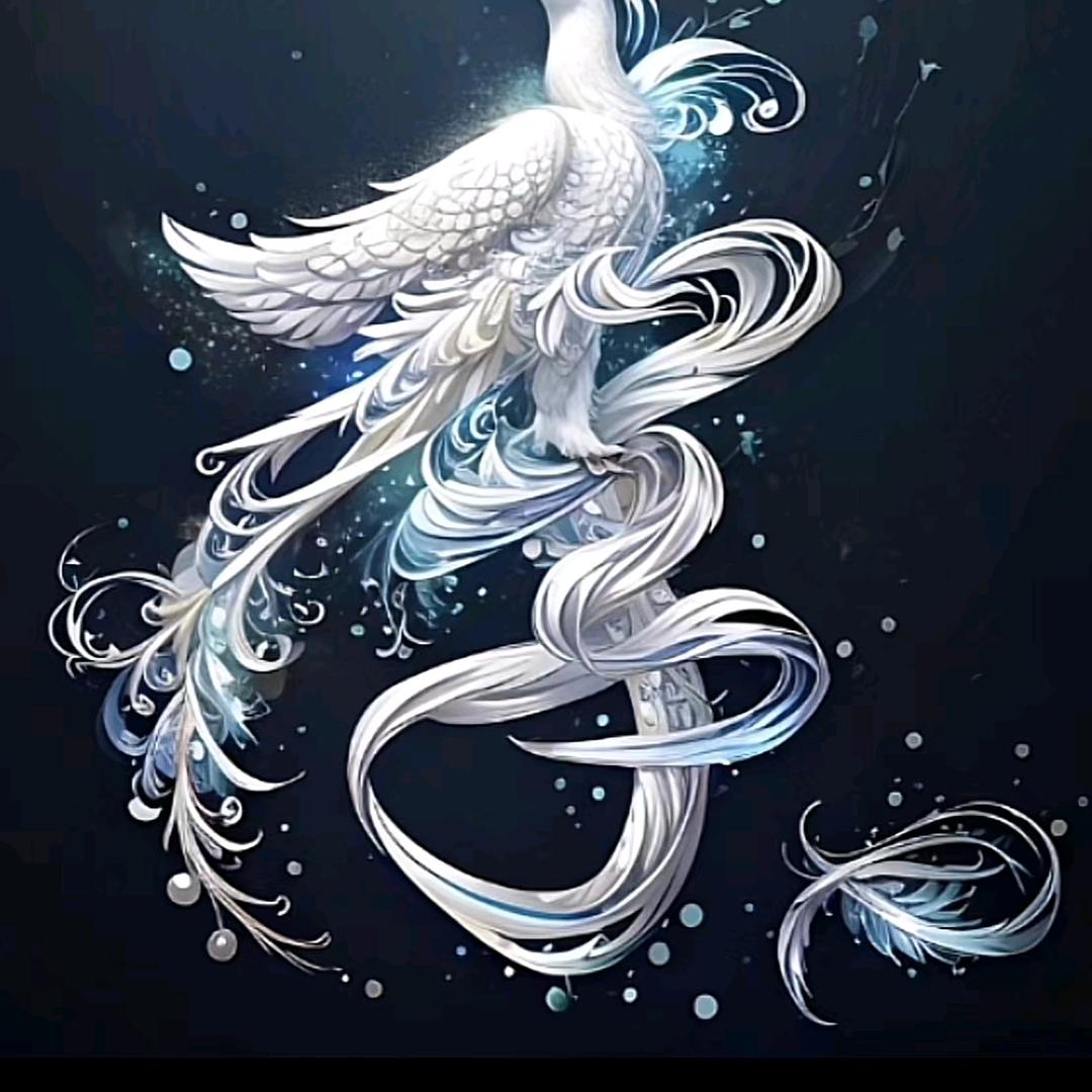 我姓李所以离不开你