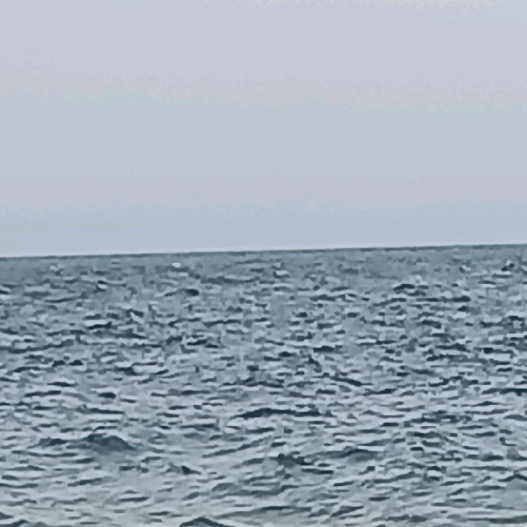谢谢再见