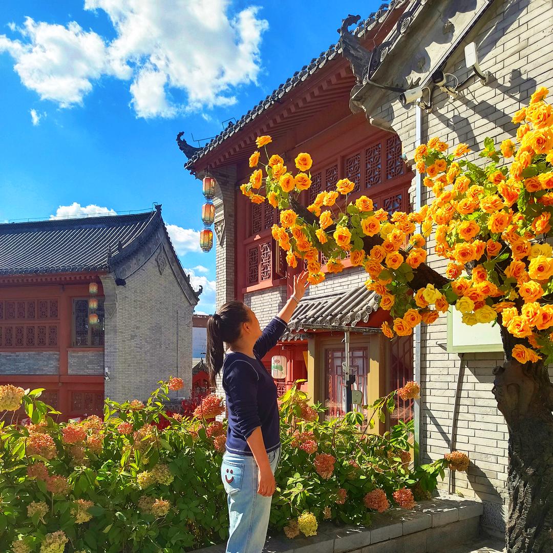 梧花梦溪🌸️🌸️🌸️🌸️