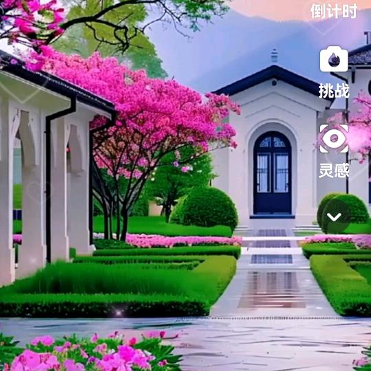 春雨6637