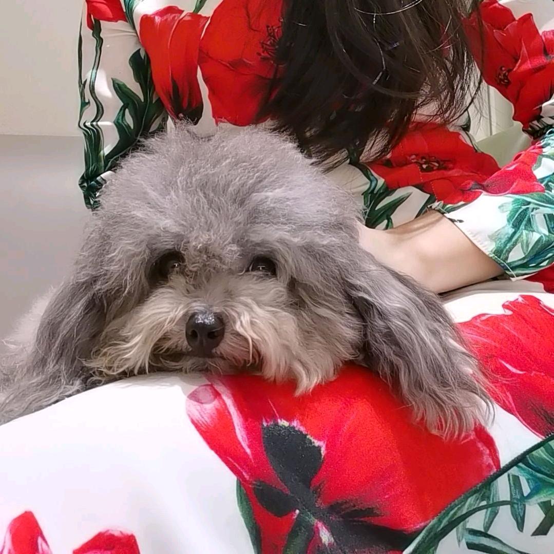 曲墨浅浅