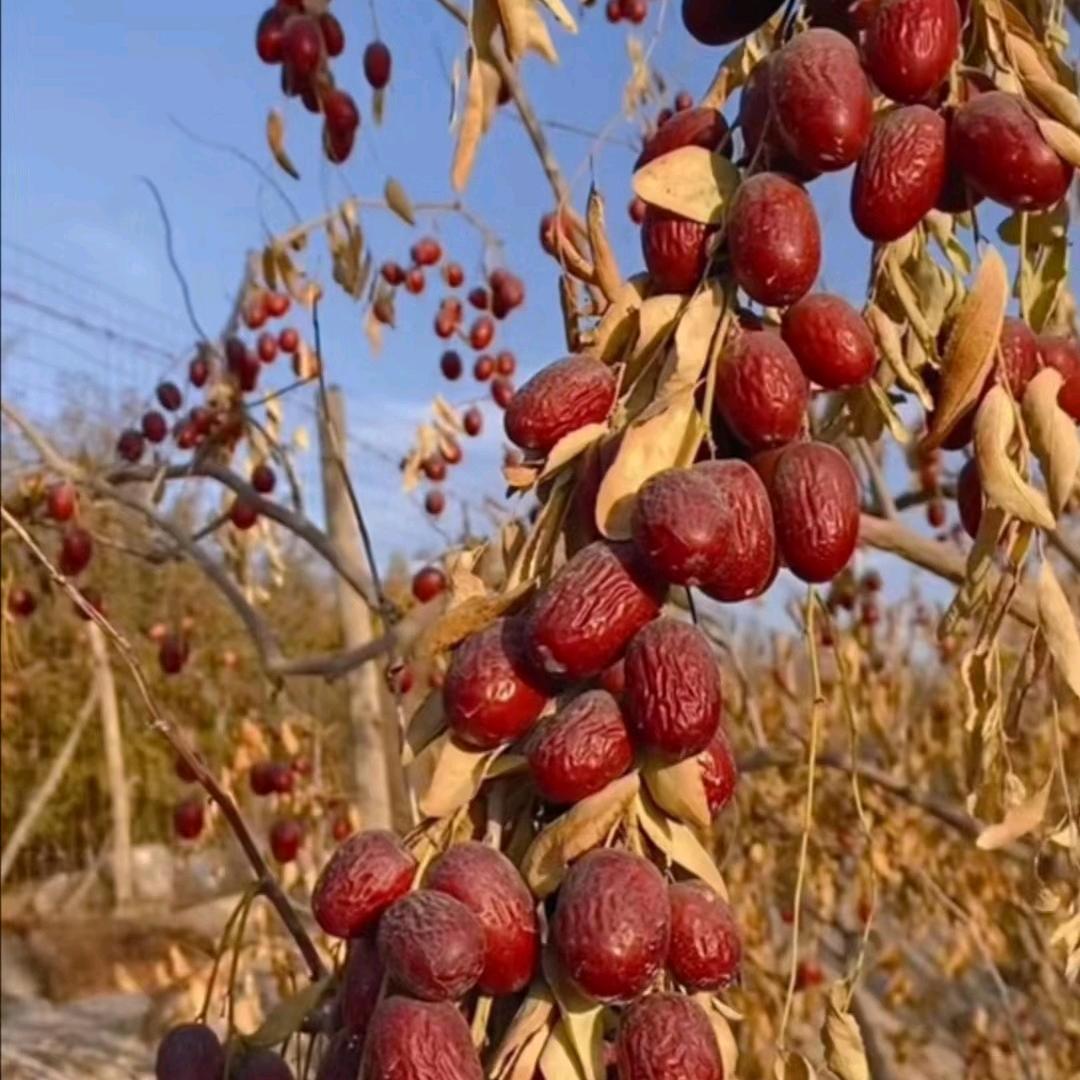 美满