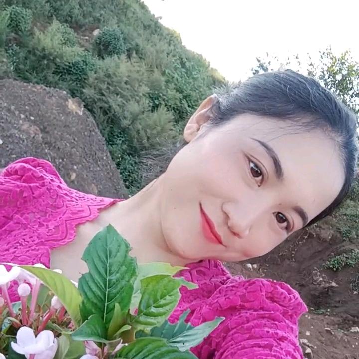 拉祜小雅咪 💃