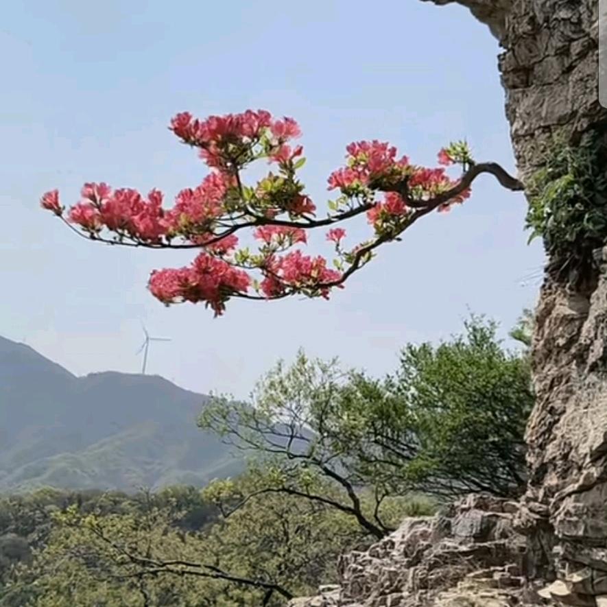 海边聚焦