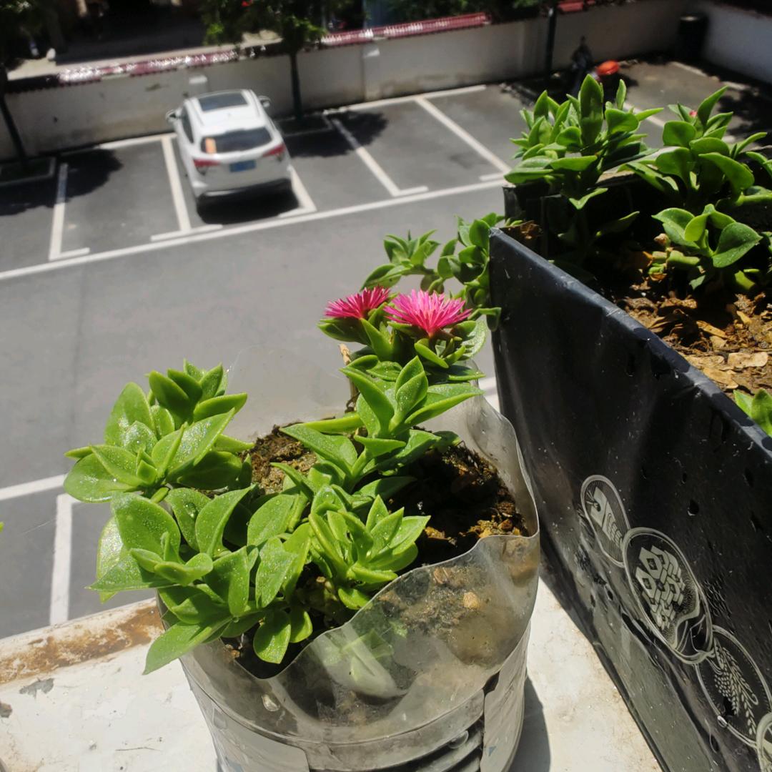 城市便捷酒店二楼餐厅