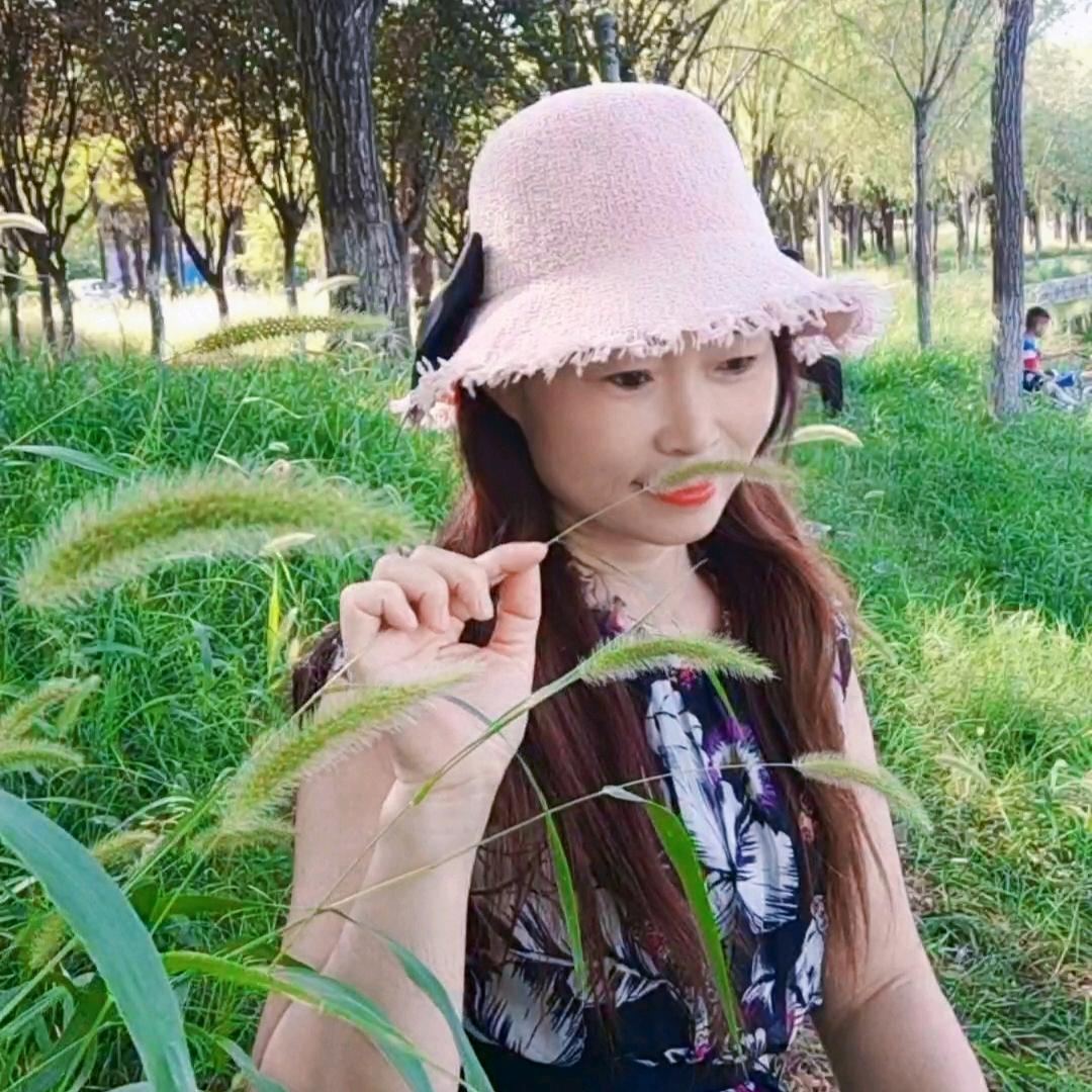 动感的旋律