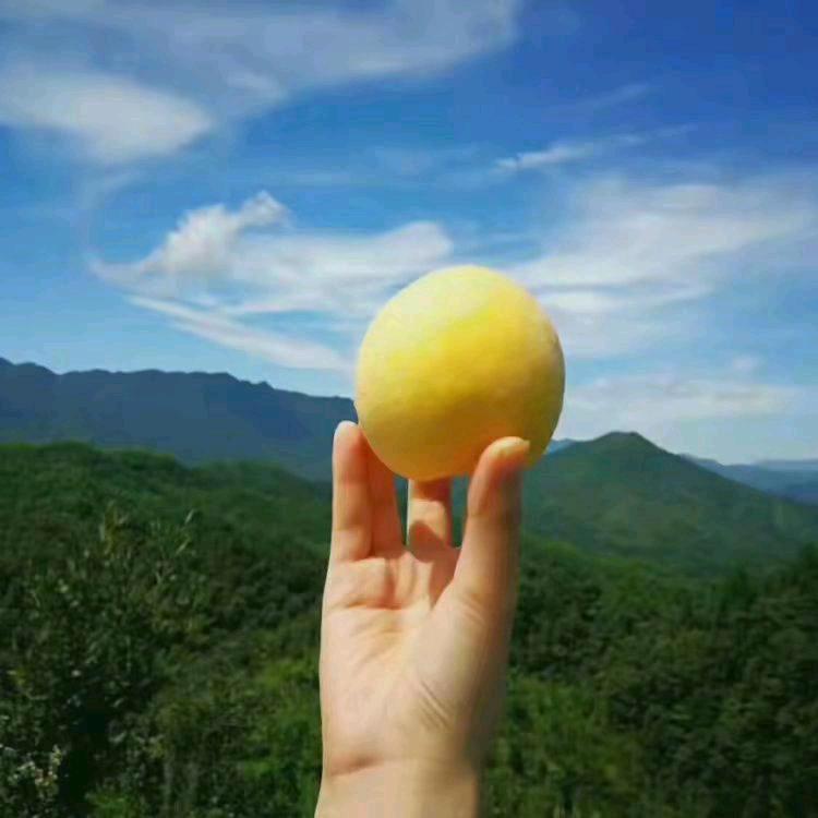 永远平安