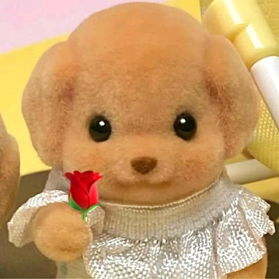 芒果酪酪