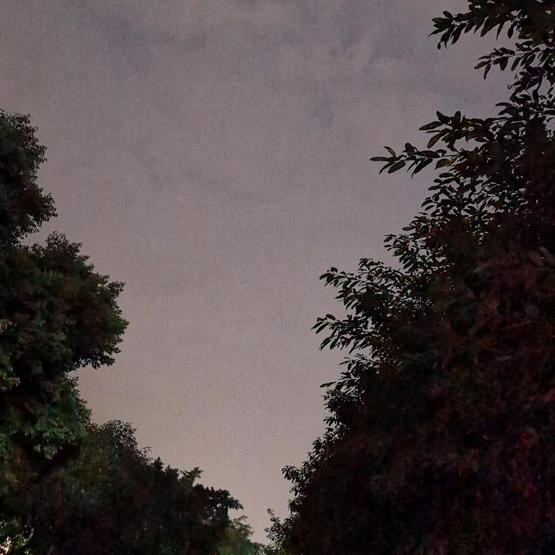甜的