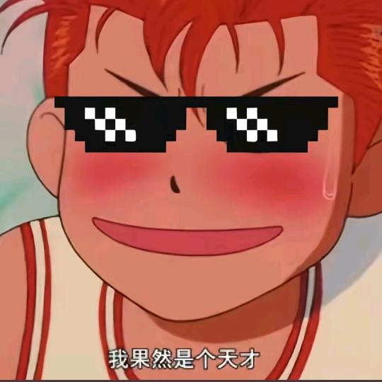 🍉大头