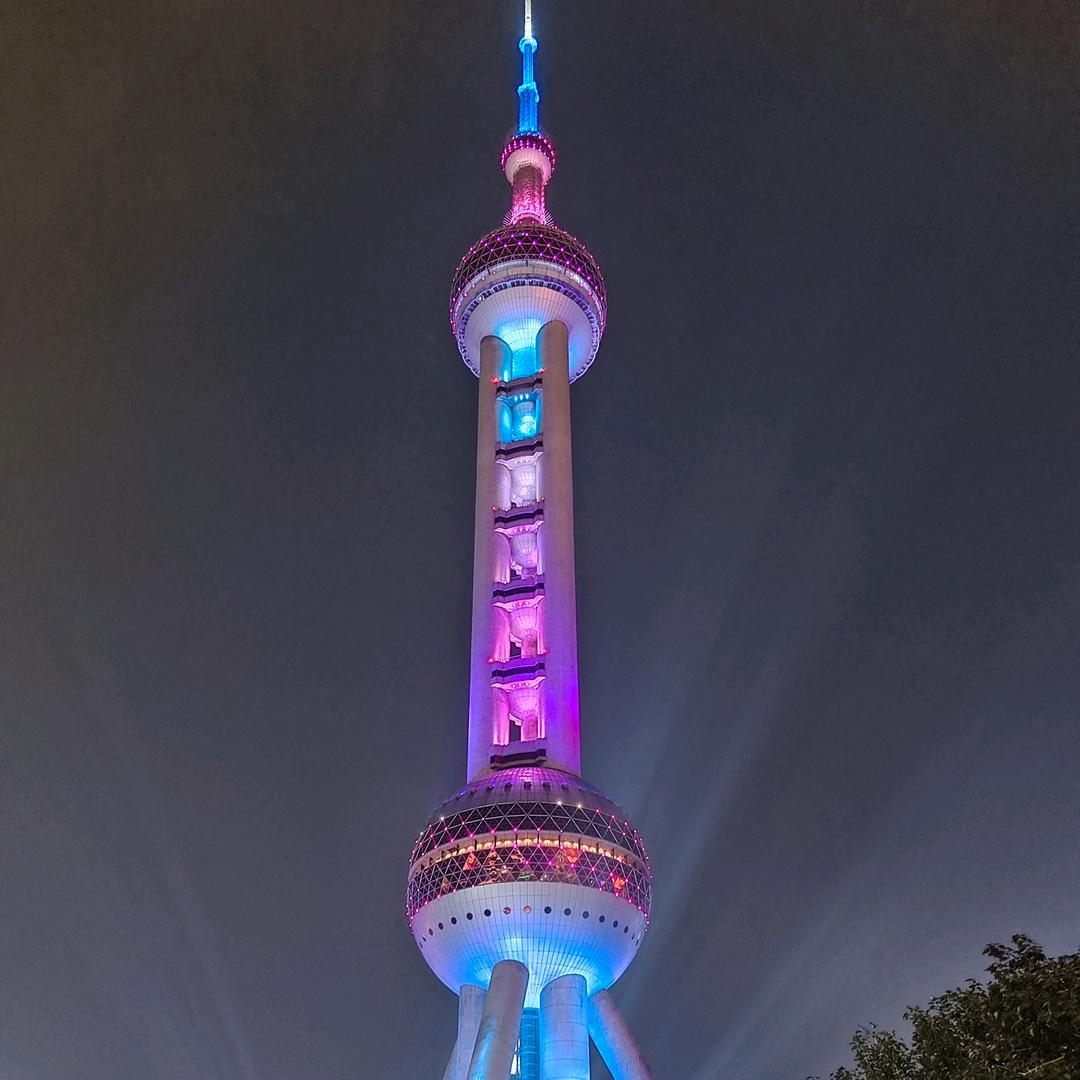 Y 丽娜