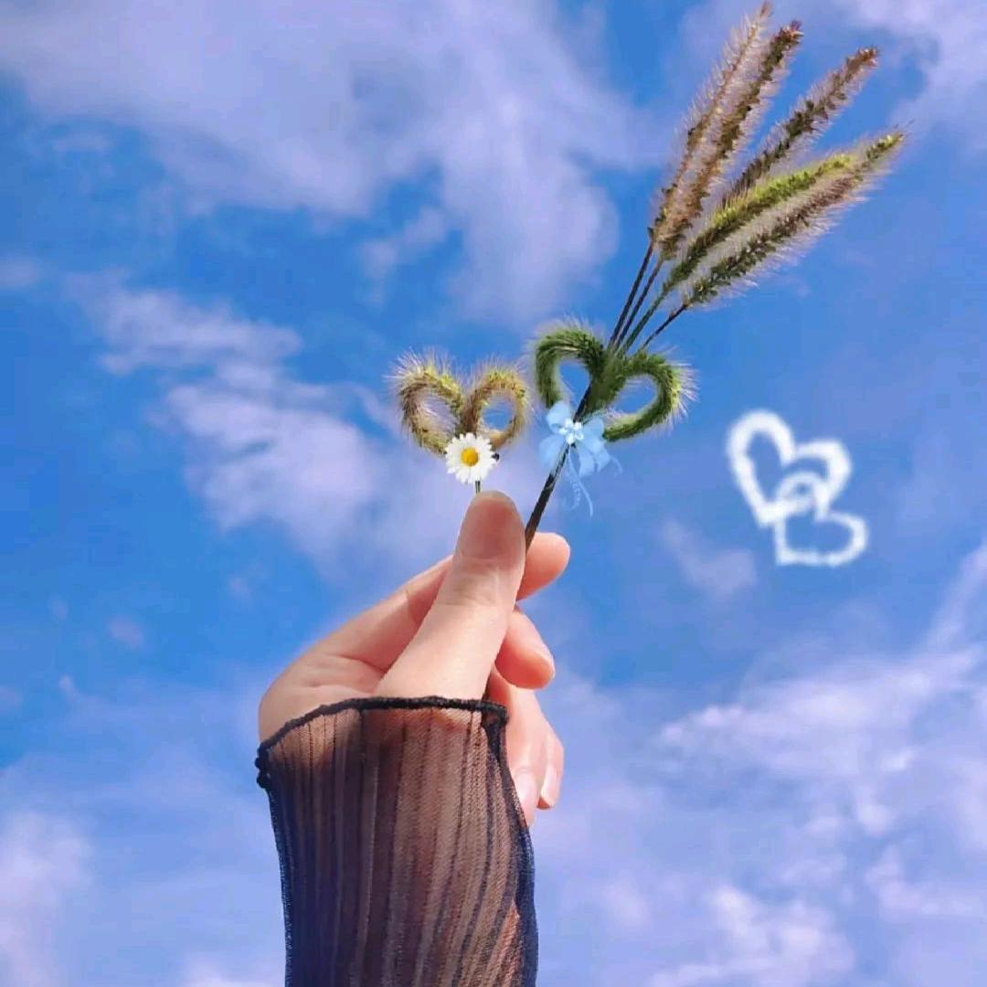 ృ༊全糖ঞᩚ去冰༘⋆