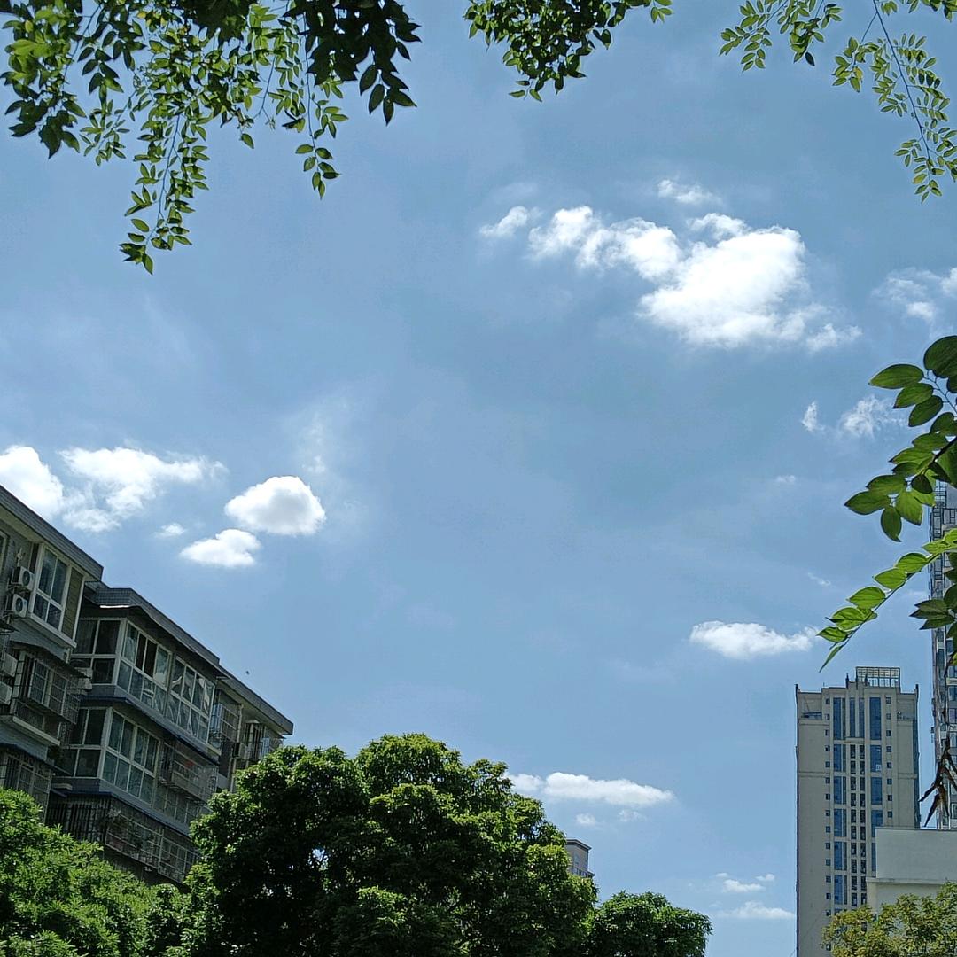 三尺优荔课何老师