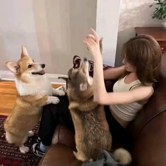 www
