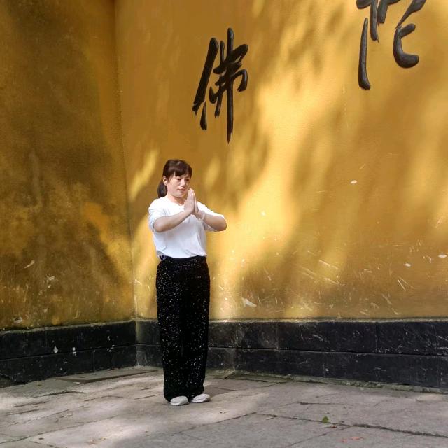 单只蝴蝶