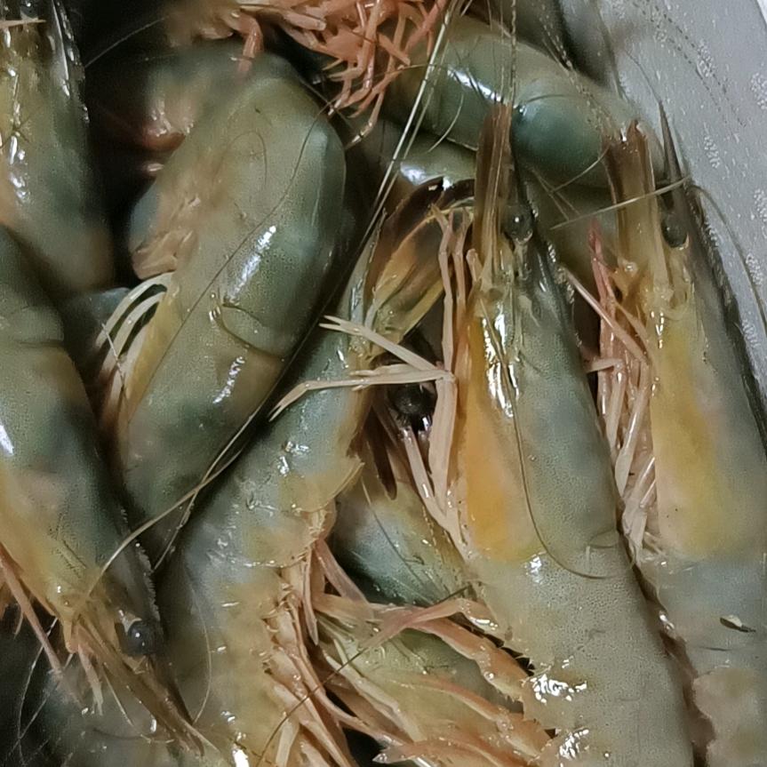 红山水产