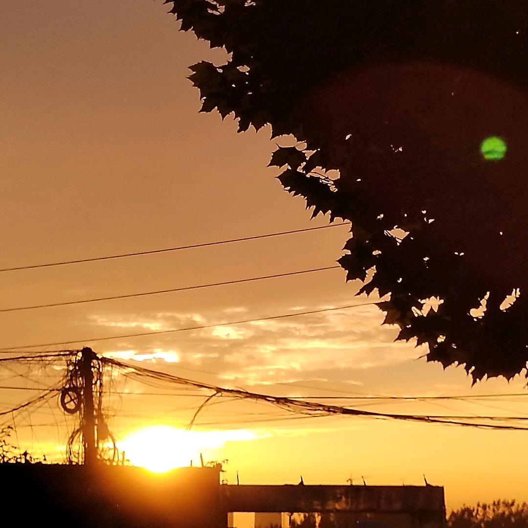 路过的围观群众0040