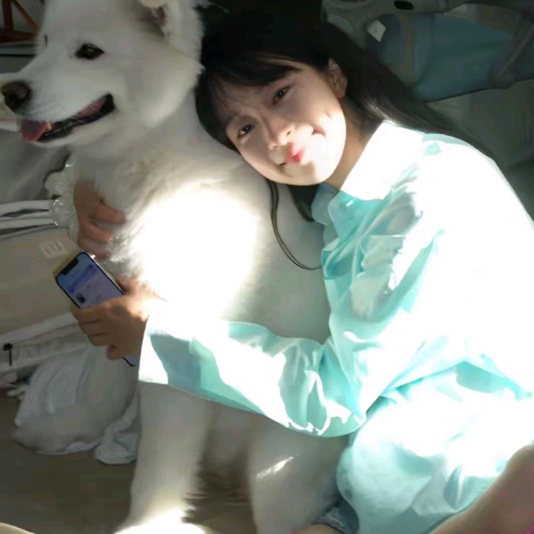 i赵赵