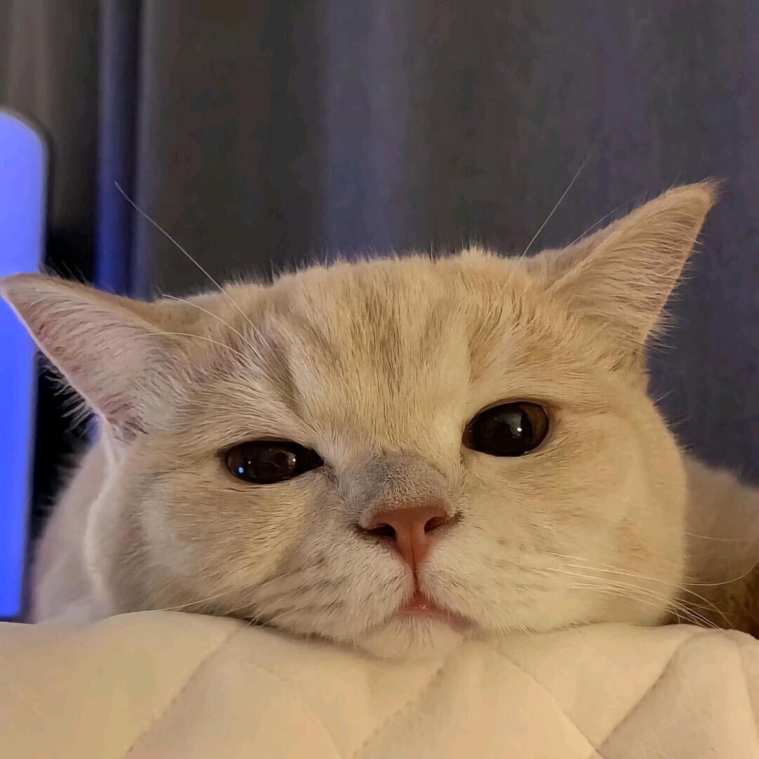 梨鸭