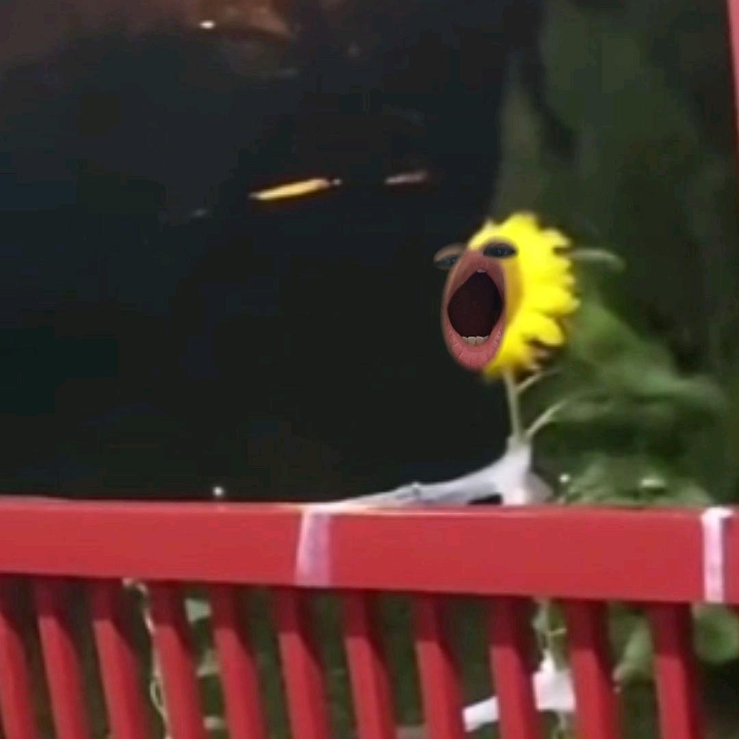 温