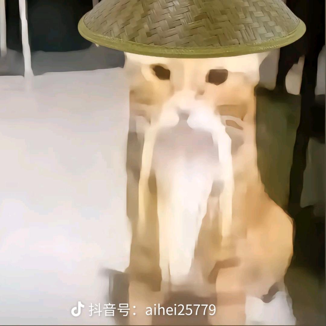 木讷的树