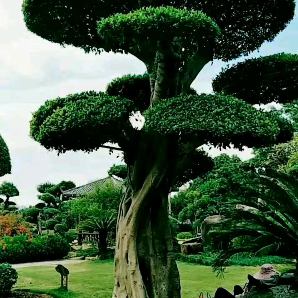 爱以停机，情也欠费💑