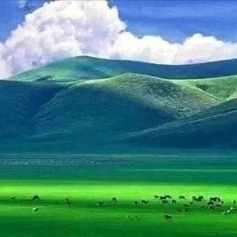 火凤凰