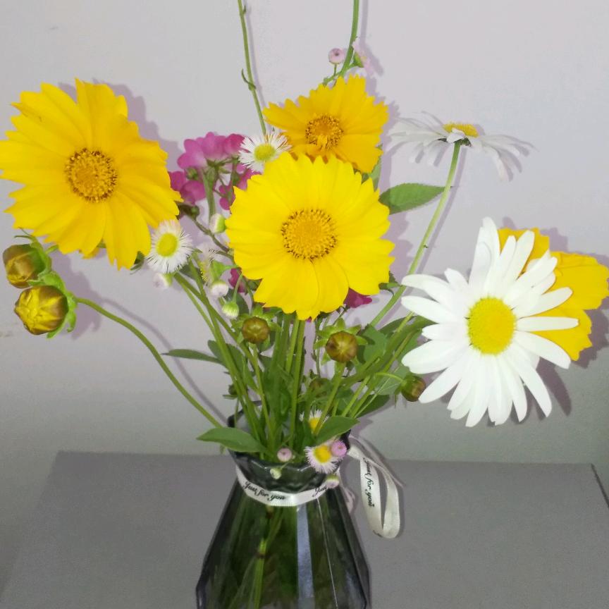 🍒山西姑娘🍒