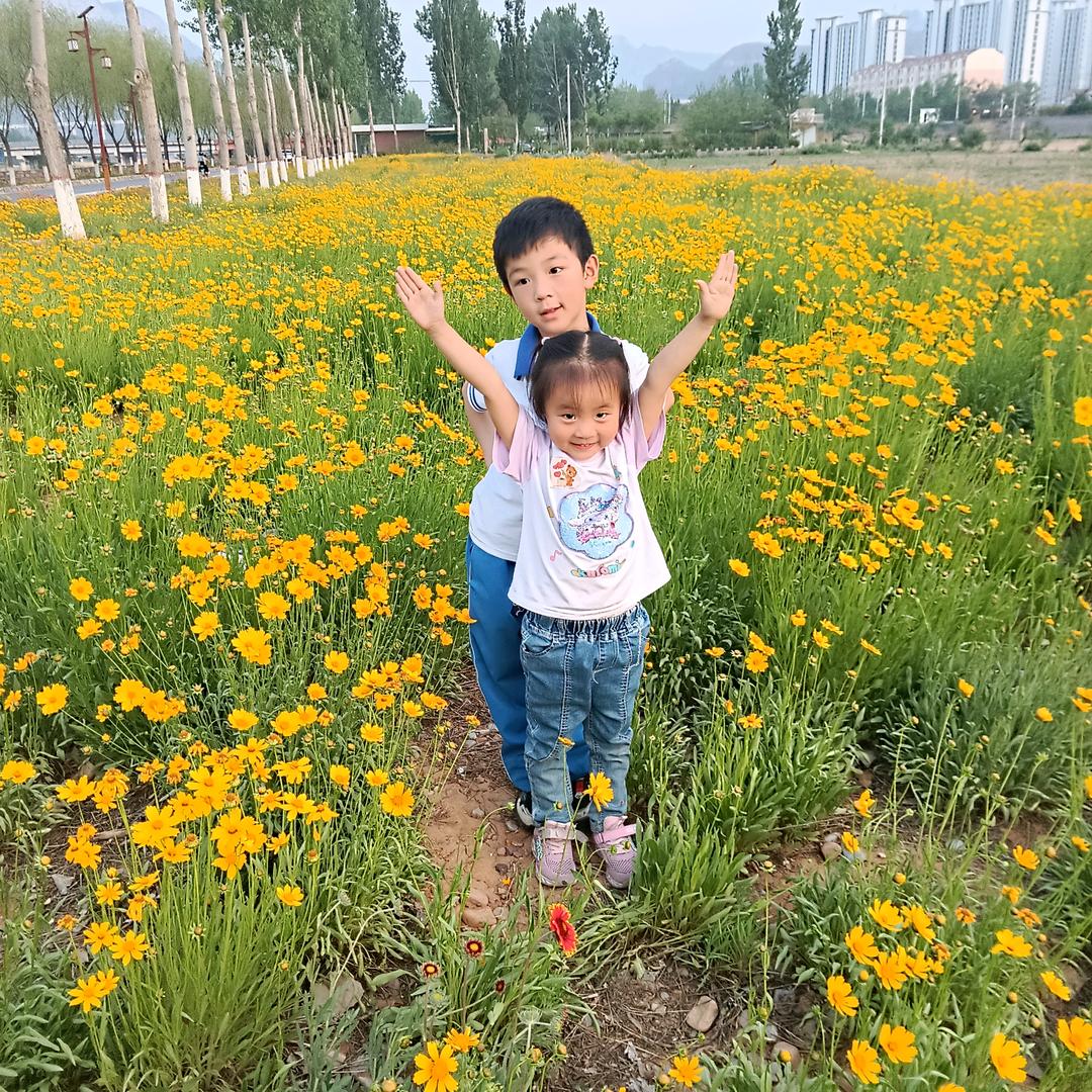 (｡･ω･｡)ﾉ♡四叶草(*^ω^*)