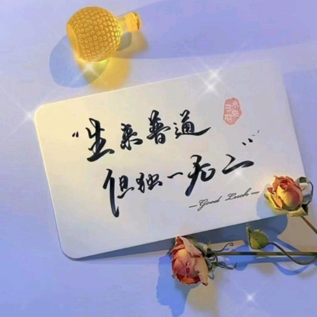 带刺的黑玫瑰