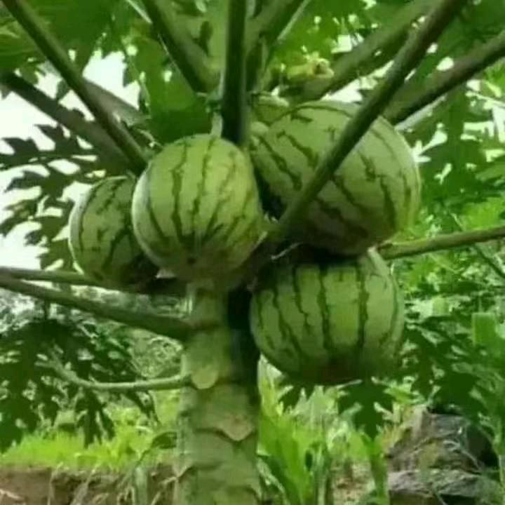 一生平安